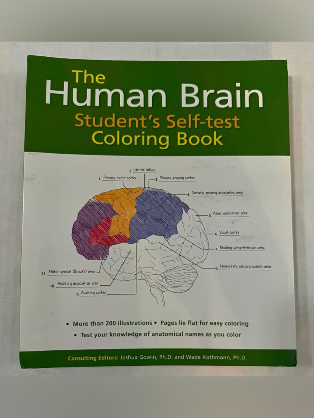 Human Brain Student's Self-Test Coloring Book Joshua Gowin